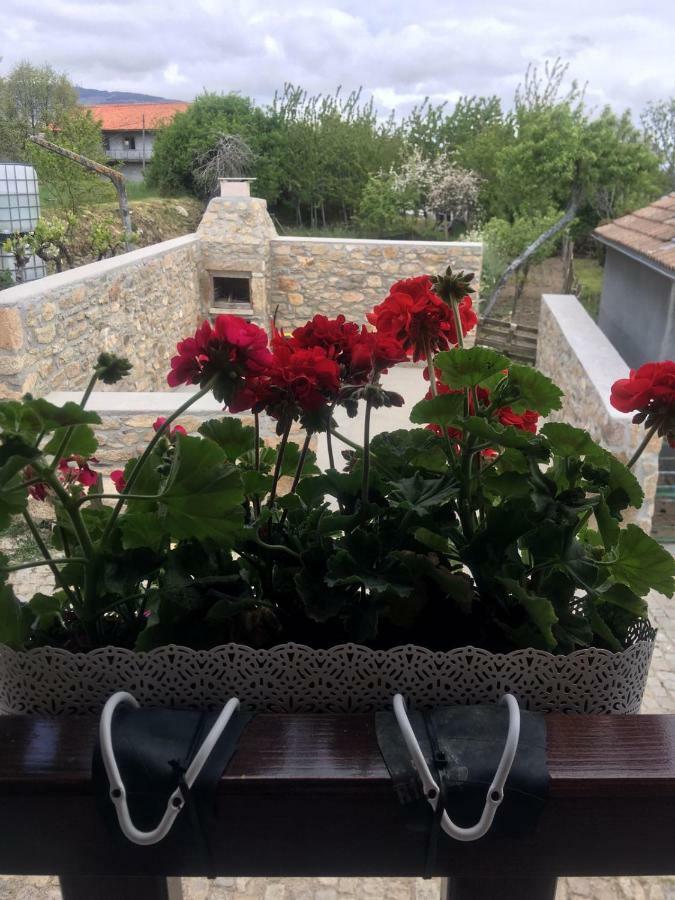Casa Freixedelo Villa Santa Comba de Rossas Bagian luar foto